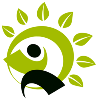Bones-N-Balance Logo